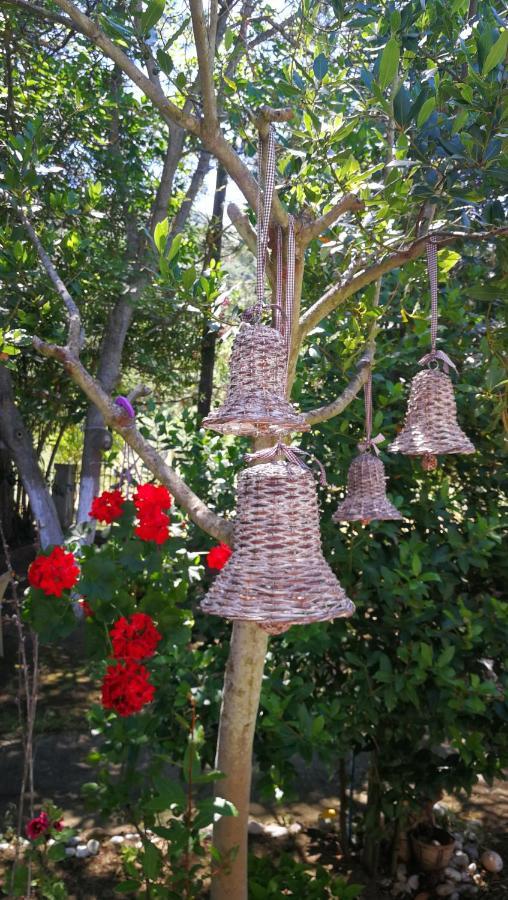 Garden Bungalow Valentina ستافروس المظهر الخارجي الصورة
