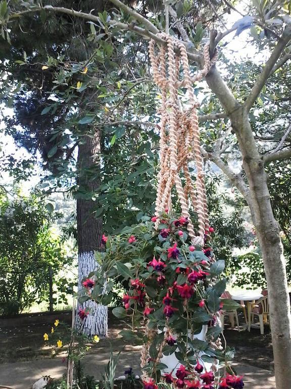 Garden Bungalow Valentina ستافروس المظهر الخارجي الصورة